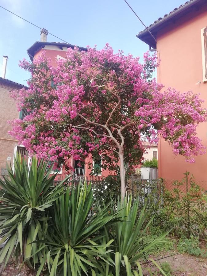 Grigio Perla Panigale, Villetta Con Giardino E Parcheggio Privato Fino A Tre Posti Auto - Un Oasi Di Tranqullita Bologna Exteriör bild
