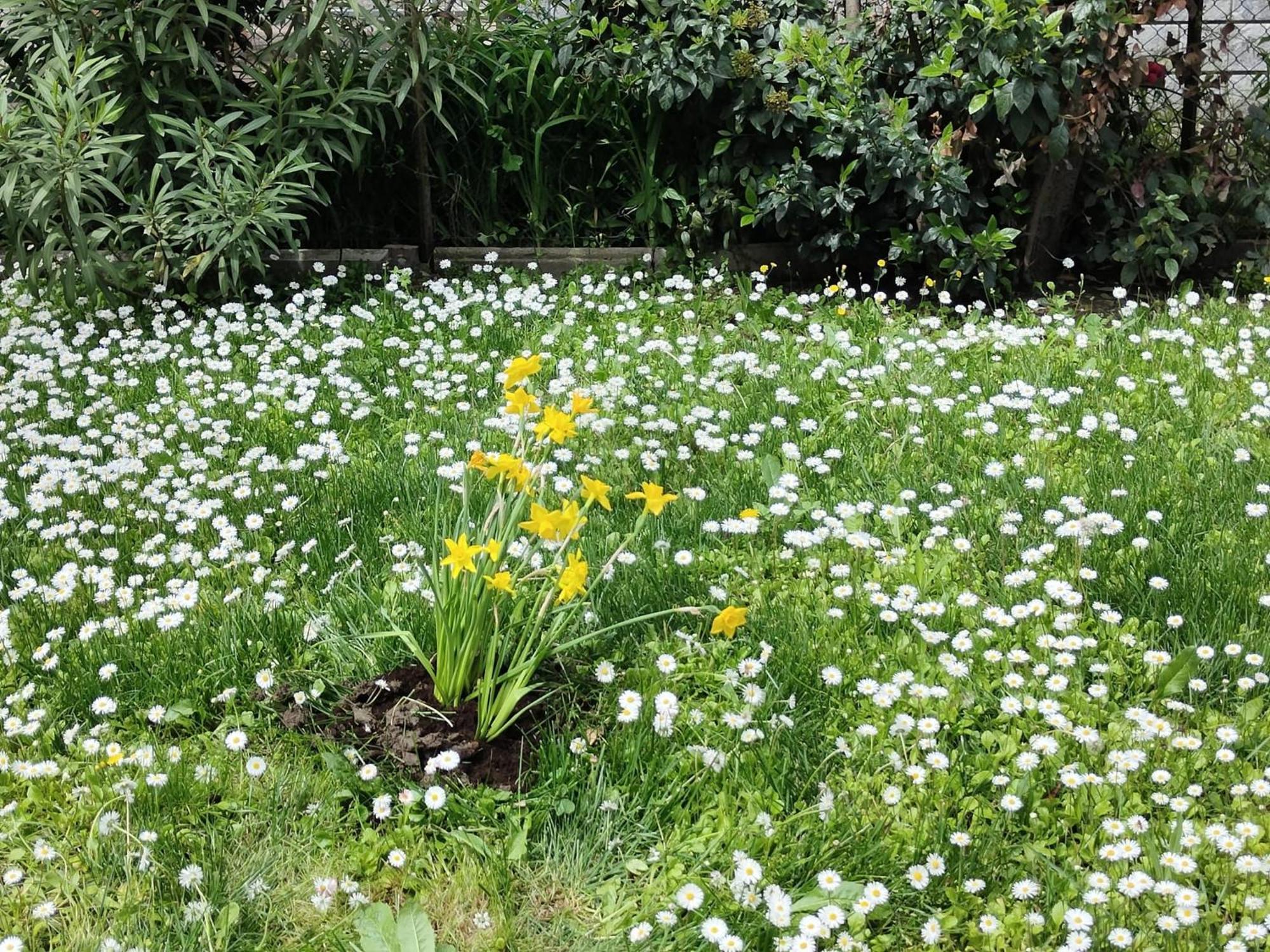 Grigio Perla Panigale, Villetta Con Giardino E Parcheggio Privato Fino A Tre Posti Auto - Un Oasi Di Tranqullita Bologna Exteriör bild